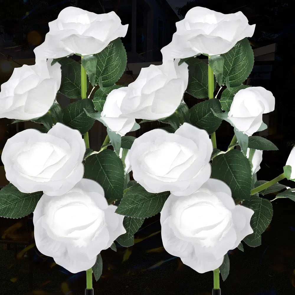 2de52a448cbff7d17fd3e580e9c30d8b